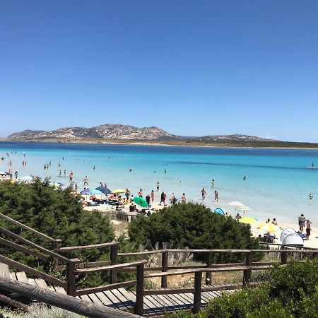 La Mansardina Leilighet Porto Torres Eksteriør bilde